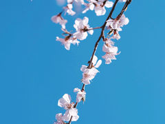 -三里河公园
