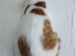 -喵汪宠物生活馆(涞坊路店)