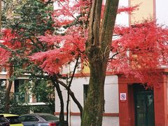 -浙江大学(玉泉校区)