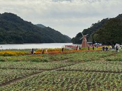 -广州市石门国家森林公园