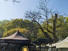 -兴福老面馆(寺路街店)