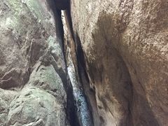 -鲁山国家森林公园