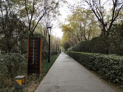 -唐城墙遗址公园
