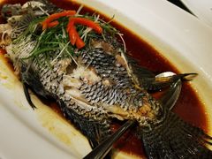 -宝燕壹号(徐汇店)