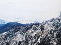 -瓦屋山景区