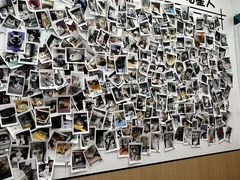 -瑞派·关忠动物医院·猫专科·犬专科(三环新城店)