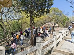 -灵岩山风景区