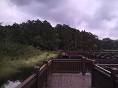 -海南热带雨林国家公园吊罗山景区