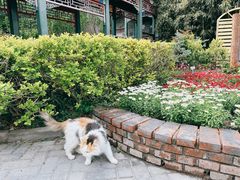 -香山公园