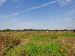 -汉长安城未央宫国家考古遗址公园