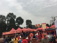 -秀丽东方