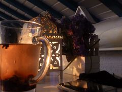 -Sirena海妖日咖夜酒