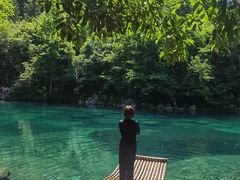 -石台牯牛降景区