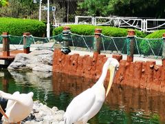 -大连老虎滩海洋公园