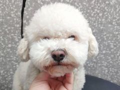 -宠物家(角门东店)