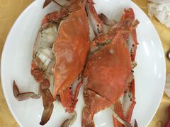 海岛渔村大酒店-海岛渔村大酒店(云霄路店)