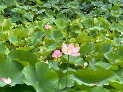 -云龙湖旅游景区