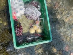 -源泉冷水鱼庄(小鱼洞店)