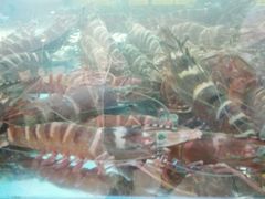 -Tanjung Aru Seafood Restaurant