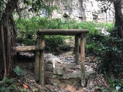 -深圳野生动物园
