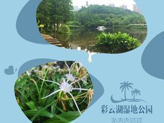 -重庆彩云湖湿地公园