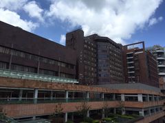 -香港大学