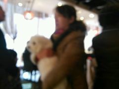 -刘胖子家常菜·蹄花焖藕(中南店)