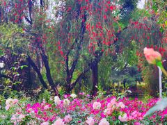 -人民公园(罗湖区)