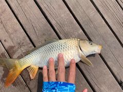 -酷鱼垂钓CLUB(朝阳区博大路店 )