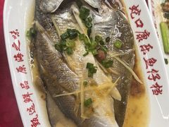 -蛇口康乐快餐鱼仔档(翠苑小区店)