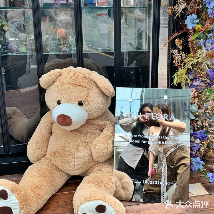 深圳拍照探店|首发🧸60只泰迪熊来袭啦!
