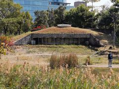 -福田红树林生态公园