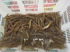 -崖口红树林海鲜餐厅