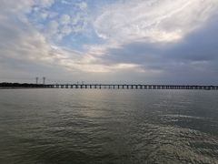 -宝安西湾红树林湿地公园