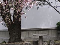 -鲍师傅糕点(五角场店)