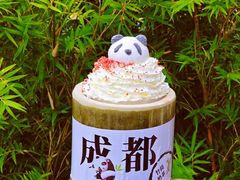 -成都大熊猫繁育研究基地
