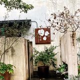 没想到西湖景区还私藏着意大利酒庄！！