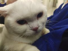 -佳雯宠物医院·皮肤科·内外科(春晓路分院)