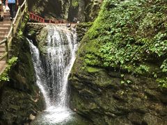 -牛背梁国家森林公园