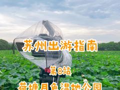 -荷塘月色湿地公园·向阳花洲