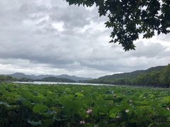 -西湖外事游船(湖滨二公园外事游船码头)