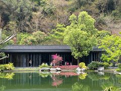 -云溪植物园