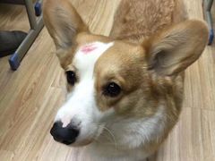 -韩通韩国语学院(虹口校区)