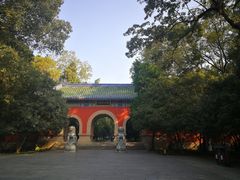 -灵谷景区