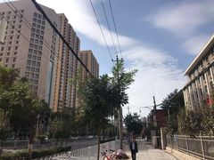 -清真·胖妈妈手抓餐厅(定西路长城宾馆店)