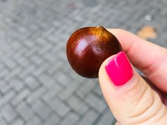 -新长发栗子食品有限公司(威海路店)