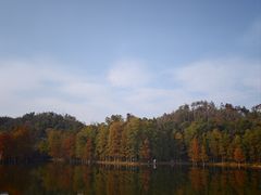 -青龙山国家森林公园