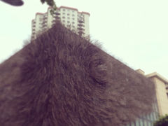 iphone_upload_pic-上海琉璃艺术博物馆