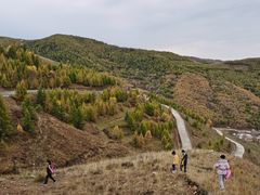-苏木山森林公园