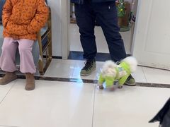 -派美特宠物医院·核磁CT·骨科肿瘤·疑难转诊(沈农禾丰店)